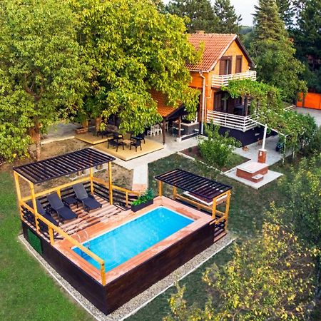 Villa Dijana - Pool, Spa, Outdoor Kitchen Belgrad Dış mekan fotoğraf