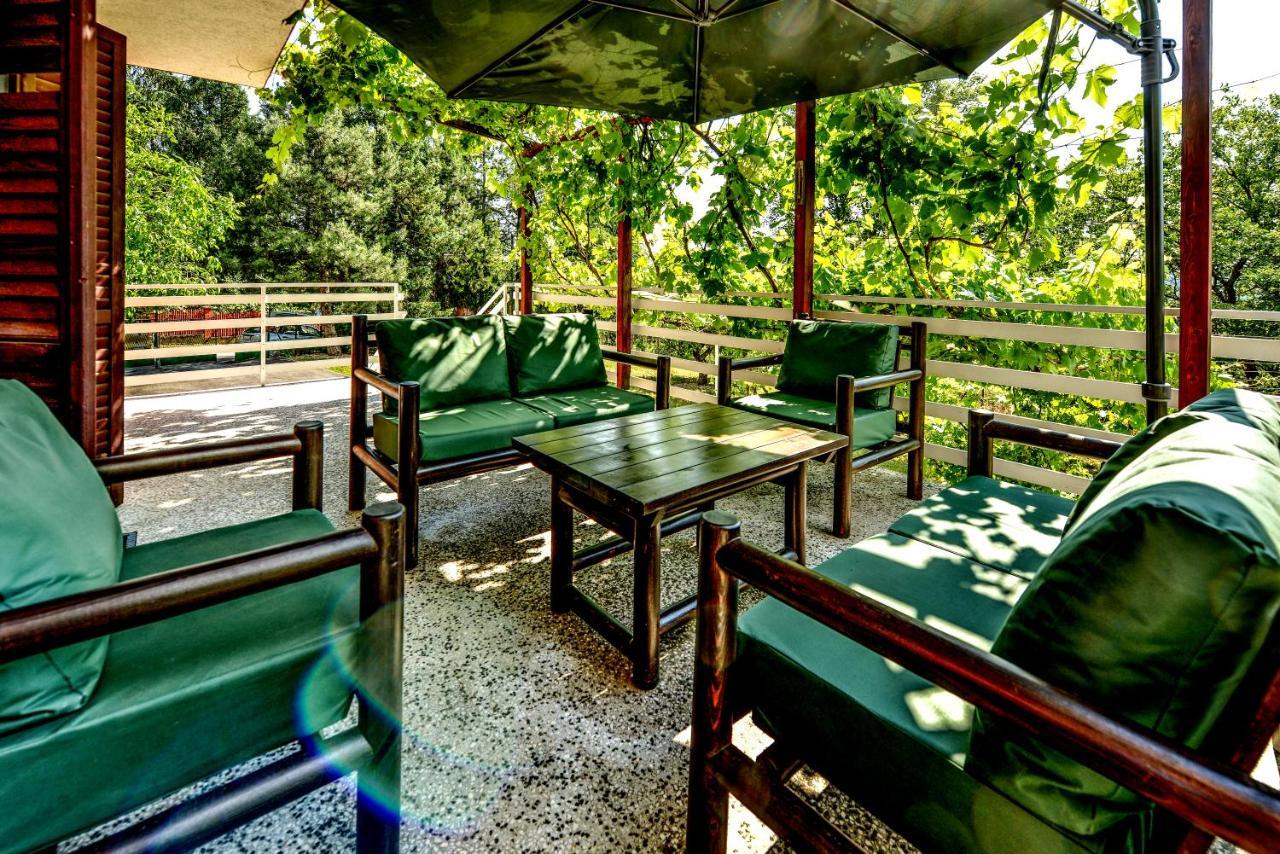 Villa Dijana - Pool, Spa, Outdoor Kitchen Belgrad Dış mekan fotoğraf